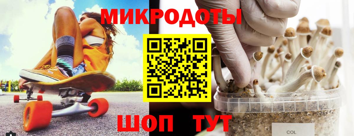 Галлюциногенные грибы ЛСД Каменск-Шахтинский